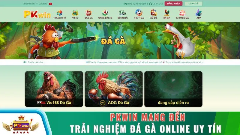 PKWIN mang đến trải nghiệm đá gà online uy tín
